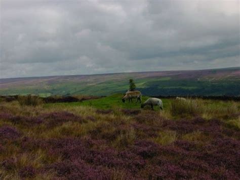 Wuthering Heights Wuthering Heights North York Moors Beautiful