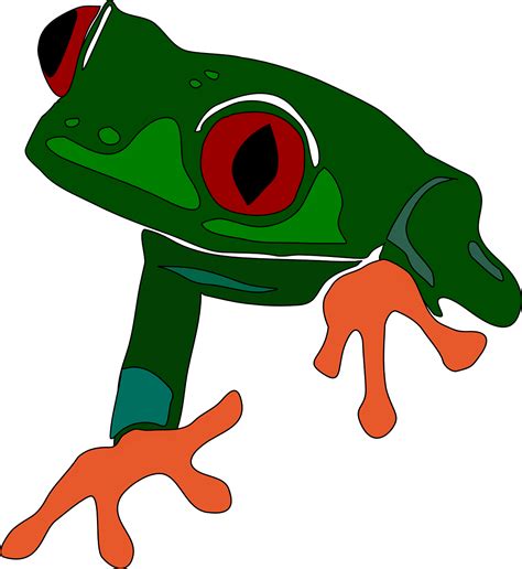 2 Free Giant Tree Frog And Frog Images Pixabay