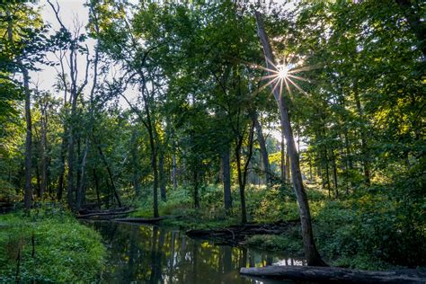 The Best Places To Hike In Will County Forest Preserve District Of