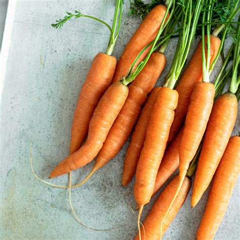How To Grow Carrots Quickly And Organically