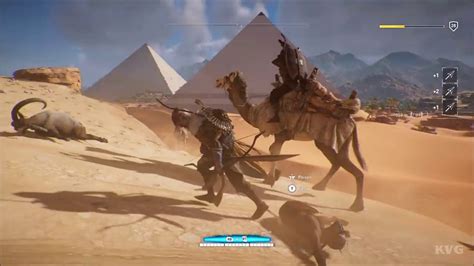 Assassin S Creed Origins Stone Fungus Papyrus Mystery Location PC