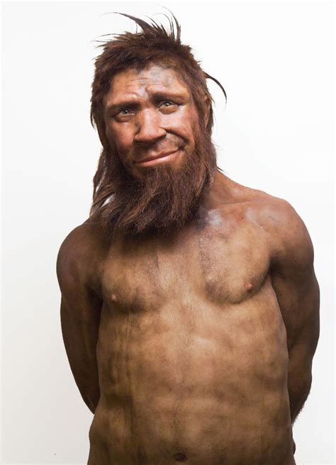 Reconstructed Neanderthal Heykel Tarih