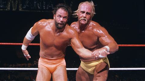 Hulk Hogan Vs Macho Man Randy Savage Wwe Championship Match