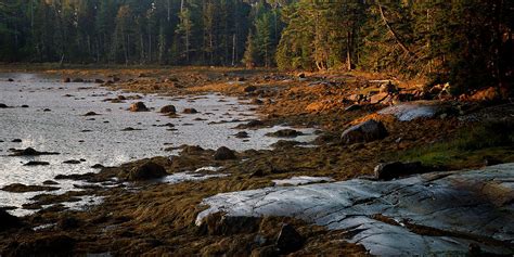 Tidal Flats Photograph By Bill Morgenstern Fine Art America