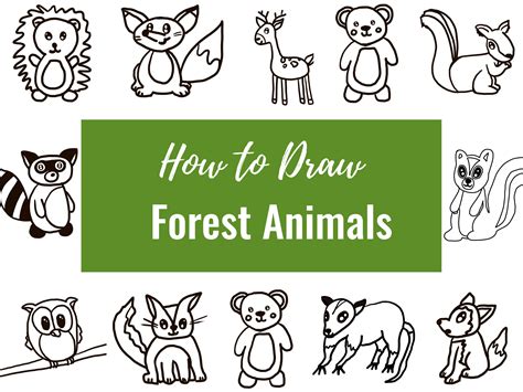 Forest Animals 12 Printable How To Draw Pages Etsy España