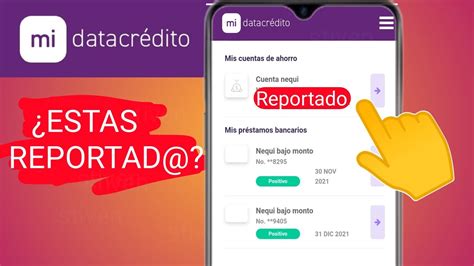 Como Saber Si Estoy Reportado En Datacredito 😯 Youtube
