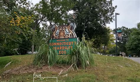 Beardsley Zoo In Bridgeport Connecticut