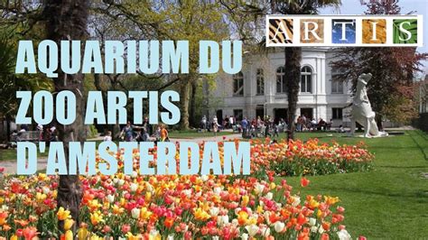 Aquarium Artis Damsterdam Et Zoo Visite Complète Aquarius Ix Youtube