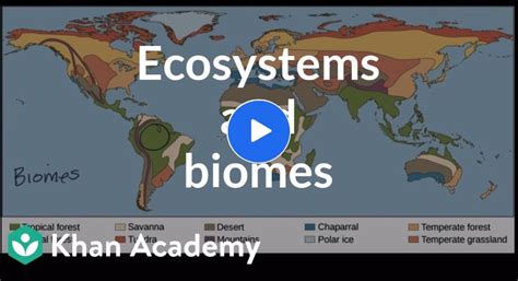 Difference Ecosystem Vs Biomes Biomes Ecosystems Ecology