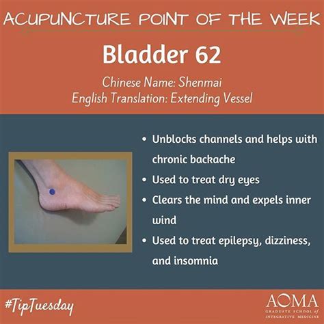 Tiptuesday Acupuncture Point Of The Week Bladder 62