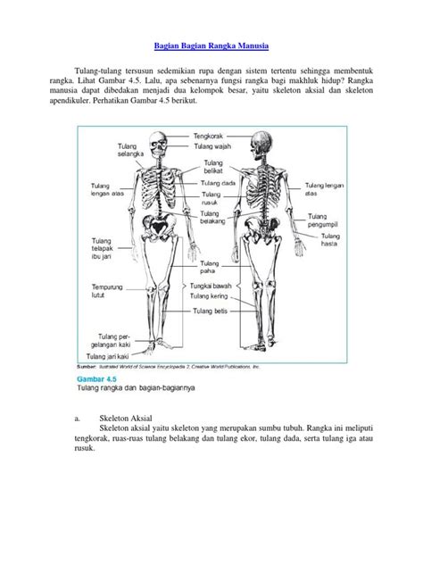 1 Bagian Bagian Rangka Manusia Pdf