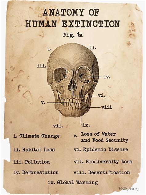 Human Extinction Human Skull Climate Crisis Scientific Diagram