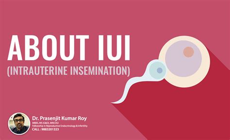 All About Iui Intrauterine Insemination New Life Fertility Centre