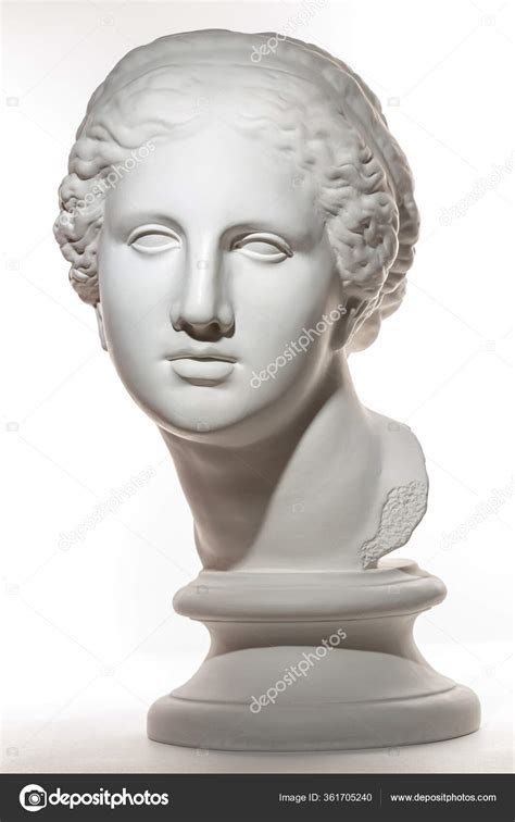 Gypsum Copy Of Ancient Statue Venus Head Isolated On White Background