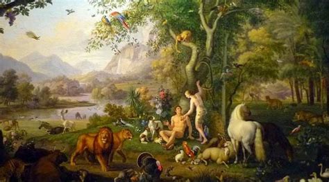 Were Adam And Eve The First Biological Humans Catholic Students Of