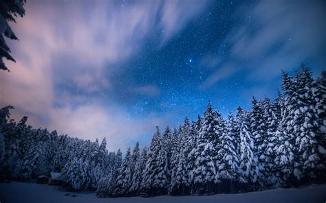 Trees Stars Night Snow Winter Forest Sky Clouds