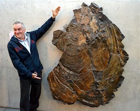 That Is One Damn Big Fossil Humanforscale