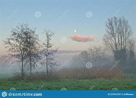 Morning Mist Over A Marsh Landscape In The Flemish Countryside Stock