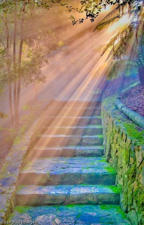 71 ☮ Stairway To Heaven ☮ Ideas Stairway To Heaven Stairs Stairways