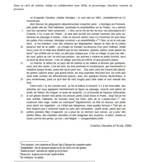 Sujet De Brevet Francais Avec Corrigé Pdf 2020 Communauté Mcms