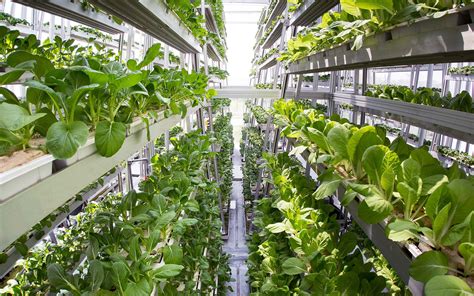 Forfarming Is Vertical Farming Sustainable