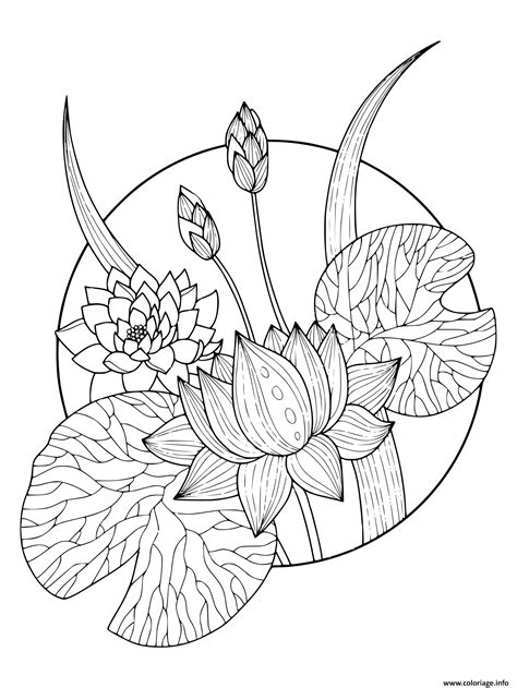 Coloriage Magnifique Fleurs Lotus Dessin Fleurs à imprimer
