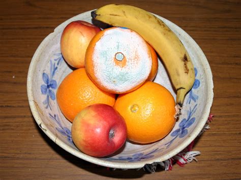 Moldy Fruit Bowl Help Your Self To A Fruit Stefan Jansson Flickr