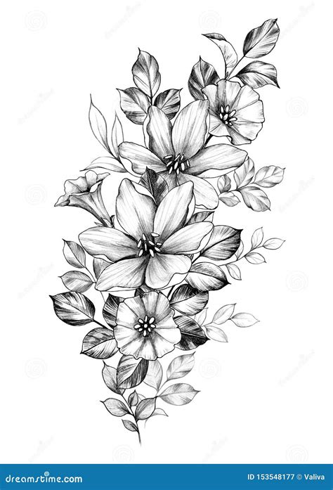 Hand Drawn Monochrome Floral Composition Stock Illustration