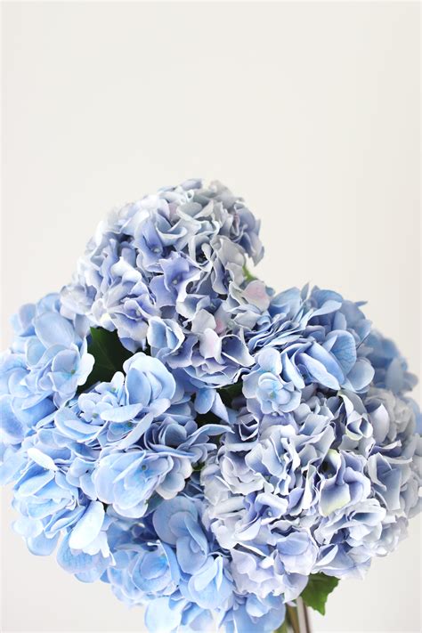 light blue silk hydrangea flower in 2020 blue hydrangea flowers blue flowers bouquet blue
