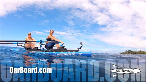 Rowing The Oar Board With Spinner Dolphins By Diana Lesieur Oar