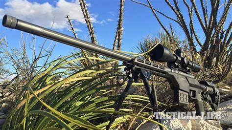 Gun Test The Savage 10 Ba Stealth In 65 Creedmoor