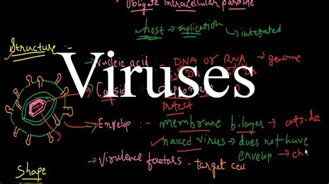 What Is Viruses How They Works Youtube