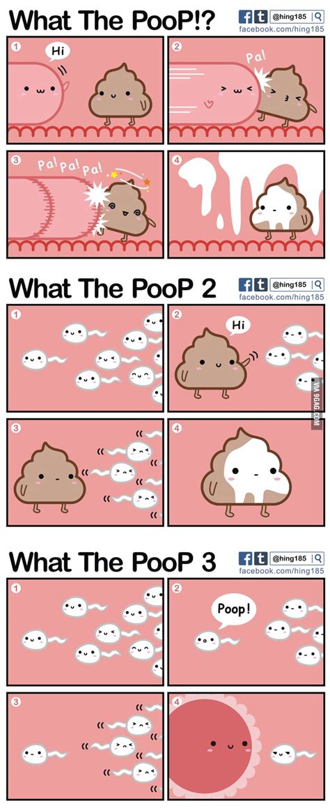 What The Poop 9gag