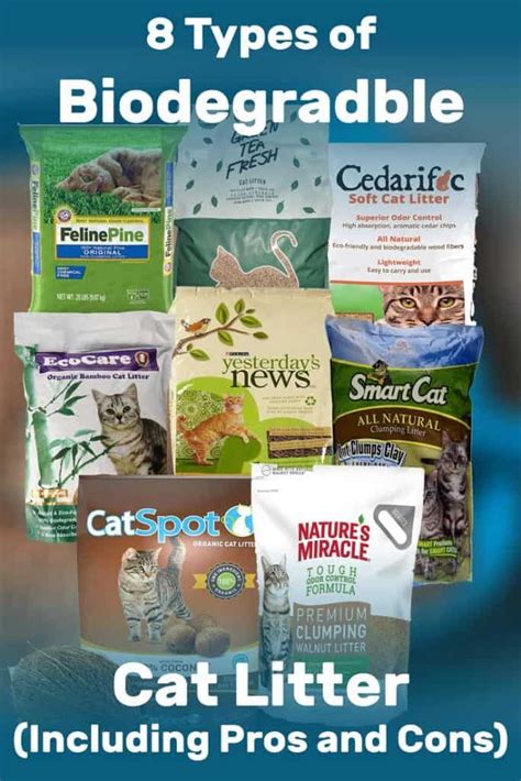 Types Of Cat Litter Pros And Cons Cat Meme Stock Pictures And Photos