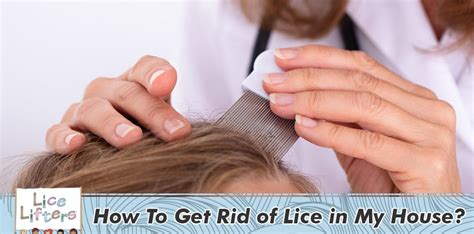 How To Get Rid Of Lice In My House Lice Lifters