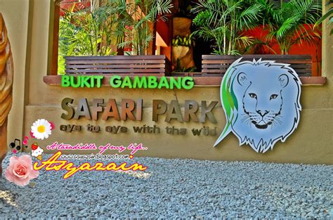 Bukit gambang safari park is also the largest safari park in malaysia. Review Pahang : Bukit Gambang Safari Park - Day & Night ...