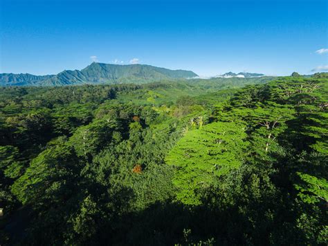 New Aerial Drone Photos Of Kauai Hawaii