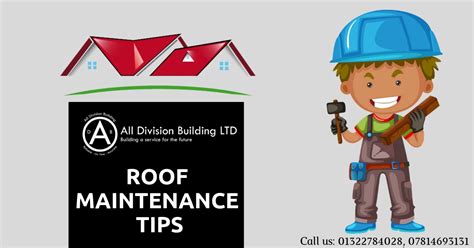 Roof Maintenance Tips Infographic All Division Building