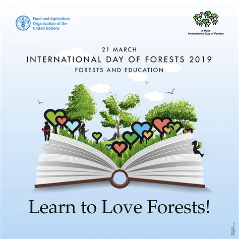 Efi Celebrated International Day Of Forests European Forest Institute