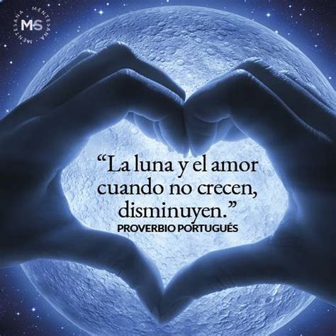 25 Frases De La Luna Para Dedicar Y Enamorar