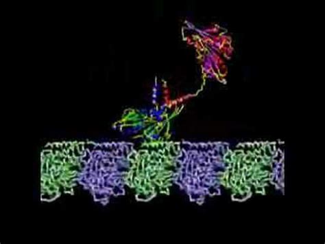 This drug entry is a stub and has not been fully annotated. Kinesin Transport Protein - YouTube