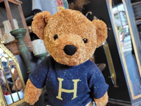 New Harry Potter Teddy Bear Arrives At Universal Studios Hollywood
