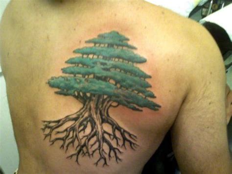 Check spelling or type a new query. Cedar trees, Tree tattoos and Tattoo tree on Pinterest