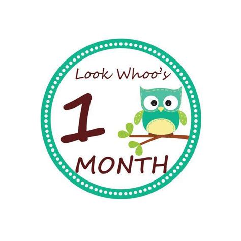 Hello guys, how are you? INSTANT DOWNLOAD Monthly Owl Tummy Tags DIY by PinkPeaPaperie