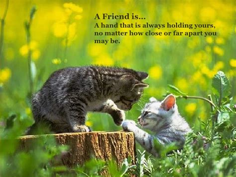 Best Emotional Friendship Messages And Quotes Wishesmsg