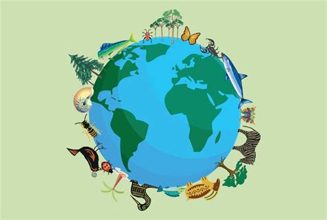 Aquatic habitat means an area where water is present and provides direct support for a given species, population or community. Biodiversity | Biodiversity, Natural ecosystem, Tropical ...