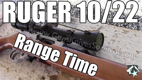 Ruger 1022 With Bushnell 4x Rimfire Scope Sight In At The Range Youtube