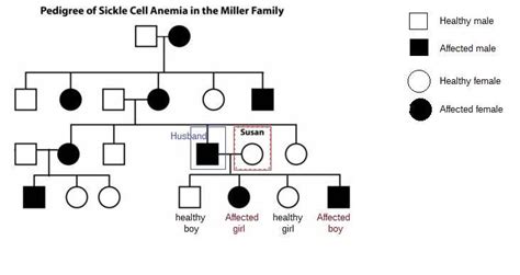 The Pedigree Shown Here Presents Information About The Instances Of