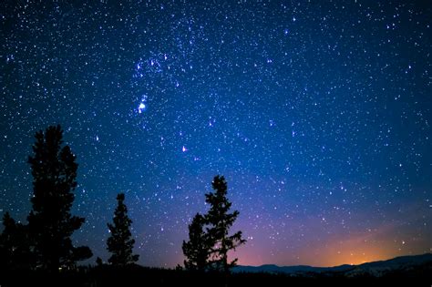 Silhouette Of Trees And Mountain Under Blue Starry Sky · Free Stock Photo