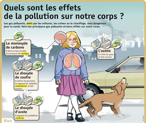 les effets de la pollution sur l organisme fiche pratique sur lavise fr